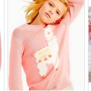 Crewcuts Llama sweater Pom Pom sz 8
